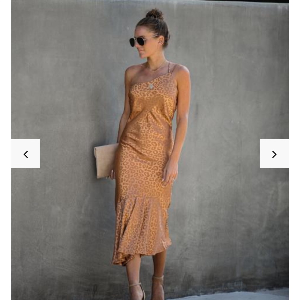 Bright Future Embossed Leopard Midi Dress